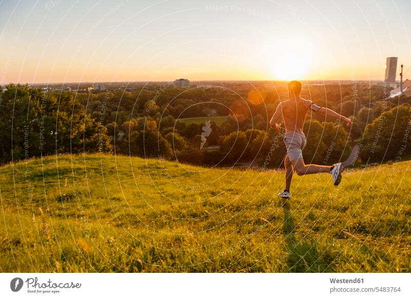 Bleichgesichtiger Mann rennt bei Sonnenuntergang auf einer Wiese im Park Männer männlich laufen rennen Joggen Jogging Erwachsener erwachsen Mensch Menschen