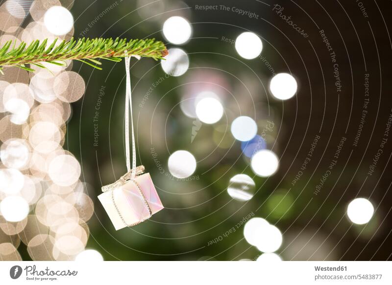 Tannenzweig mit weißem Weihnachtsschmuck Paket Pakete Päckchen Abies Fokus Auf Den Vordergrund Fokus Auf Dem Vordergrund Textfreiraum Weihnachtsdekoration