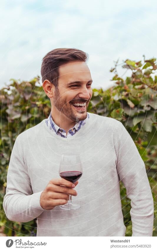 Glücklicher junger Mann in einem Weinberg mit einem Glas Rotwein lachen Weingaerten Weingarten Weingärten Weinberge Rotweine Weine Männer männlich positiv