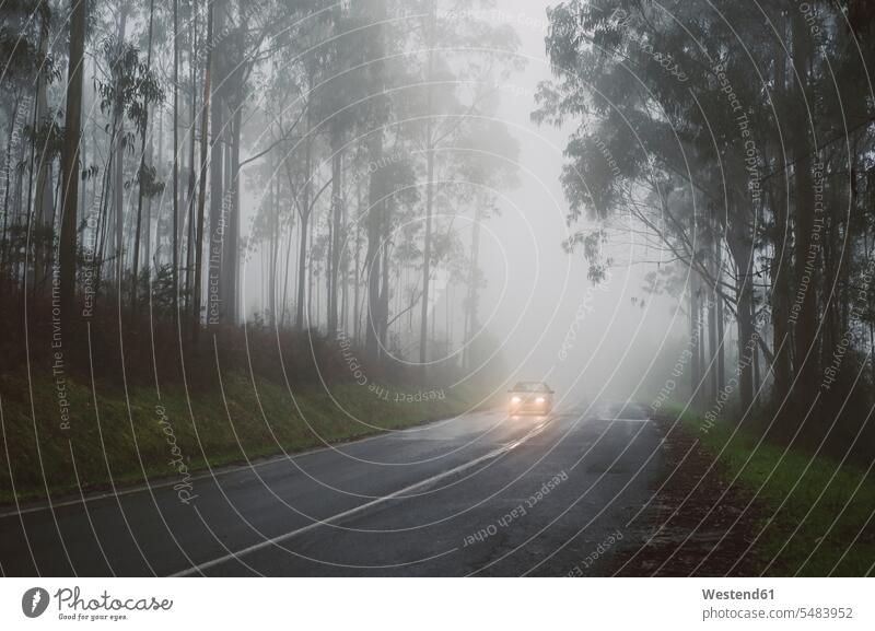 Spanien, Galizien, Ferrol, Straße in einem Wald mit Nebel, auf der Straße fährt ein Auto mit Licht Niemand schlechte Sicht Wetterverhaeltnisse