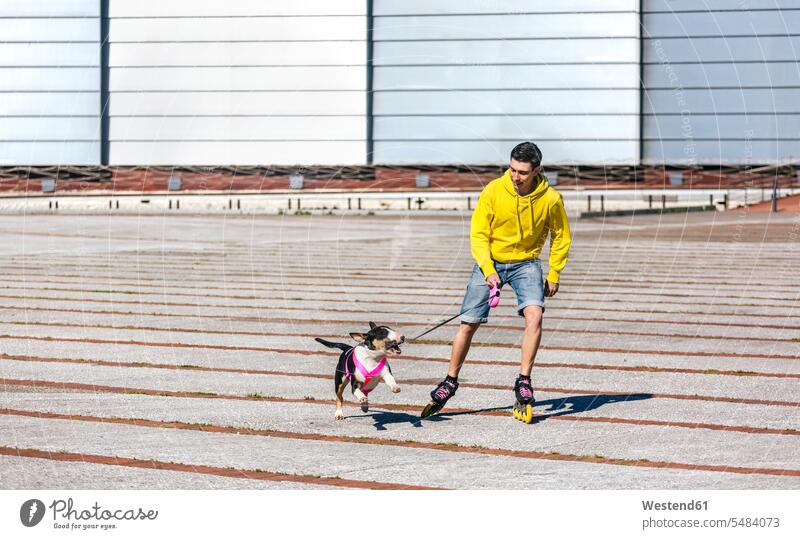 Inline-Skater spielt mit seinem Bullterrier Mann Männer männlich Inlineskates Inline skates inline skate Inliner Hund Hunde Erwachsener erwachsen Mensch