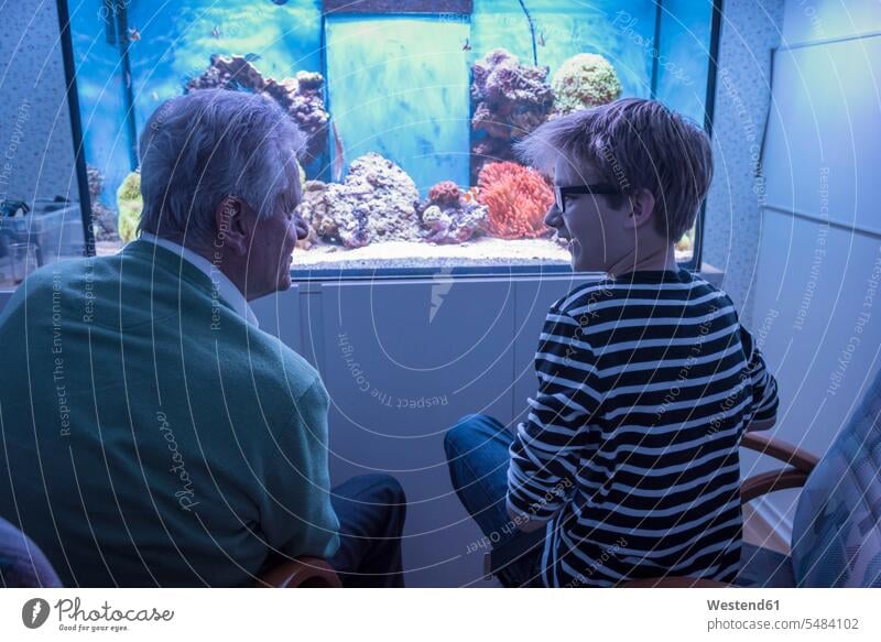 Großvater mit Enkel im Aquarium Fisch Fische Pisces Freizeitkleidung casual Freizeitbekleidung Zusammenhalt Verbundenheit Zusammengehörigkeit Bindung