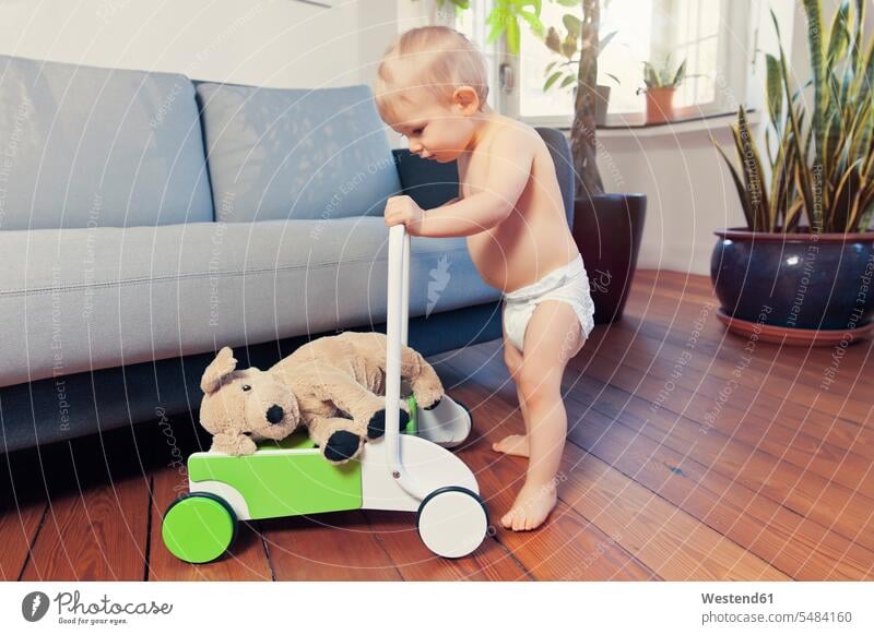 Kleiner Junge schiebt sein Kuscheltier im Gehwagen herum Sofa Couches Liege Sofas Kuscheltiere männliche Babys männliches Baby männliche Babies Spielzeug Kind