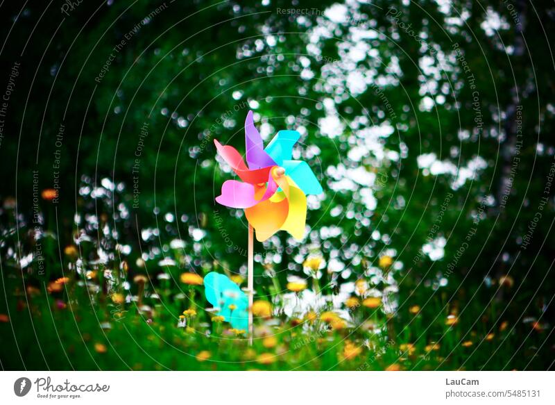 Herausstechend - Windrad in Regenbogenfarben mehrfarbig Wiese grüne Wiese gelbe Blumen Löwenzahn bunt lila türkis Vielfalt Diversität Toleranz