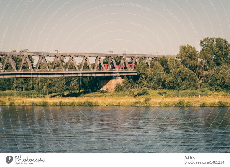 Herrenkrug-Eisenbahnbrücke über die Elbe bei Magdeburg Brücke Fluss Wasser Architektur Zug Bauwerk Farbfoto Außenaufnahme Reise Sehenswürdigkeit historisch alt