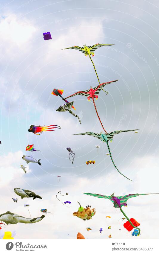 buntes Treiben am Himmel schönes Wetter Wolken Drachenfest Besuchermagnet Drachensteigenlassen teilweise selbstgemacht Flugobjekte Hobby Freizeitspaß