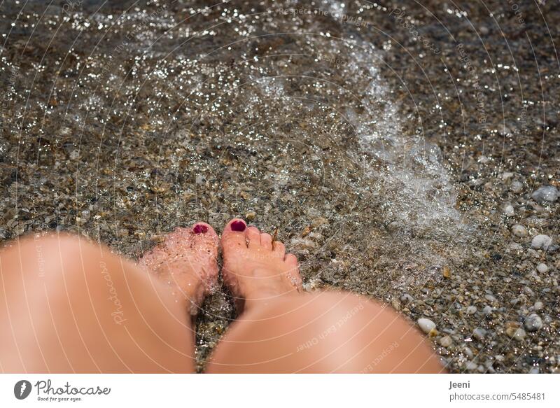 Entspannung für die Füße im Wasser genießen Erholung Pause Freiheit träumen nass erfrischend nackt Haut Frau Nagellack feminin rot schön Zehen Erfrischung