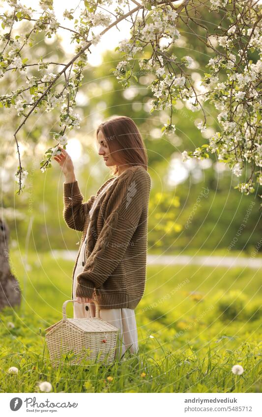 Lächelnde junge Frau in Kleid und khakifarbener Strickjacke, die einen Weidenkorb im Frühling in einem blühenden Apfelgarten bei sonnigem Wetter hält. Das Konzept der Jugend, Liebe, Mode und Lebensstil.
