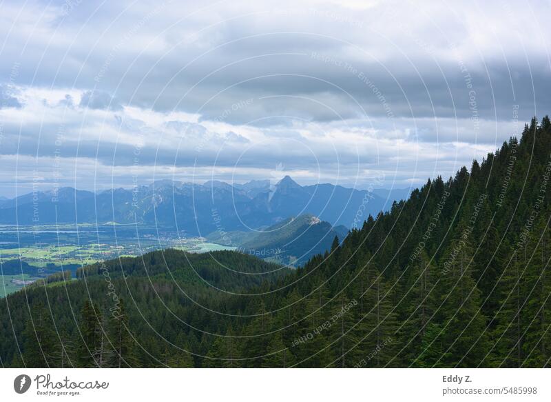 Alpenpanorama Blick Richtung Ammergauer Alpen. Grüne Wälder im Vordergrund blaue Berge im Hintergrund. Berge u. Gebirge Blauer Himmel wälder Natur Landschaft
