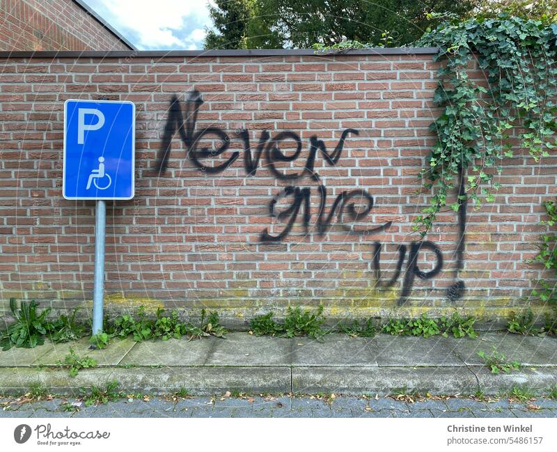 Never give up! gib niemals auf Parkplatz Behindertenparkplatz Schilder & Markierungen positiv denken Krise Hinweisschild Mauer Efeu Zeichen parken