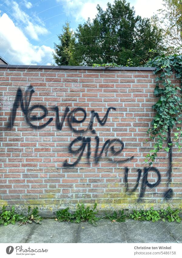 Never give up! gib niemals auf weitermachen zuversichtlich nicht aufgeben Zuversicht graphisch Das Leben geht weiter Gesundheit Lebensmut Wille Krise