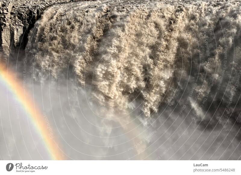 Regenbogen am Dettifoss, dem stürzenden Wasserfall Wassermassen Naturgewalt Fluss Urelemente Kraft Island wild tosend Gischt gigantisch nass Wasserdampf