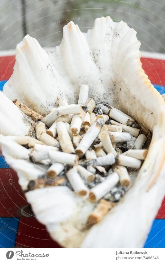 Große Muschel als Aschenbecher Raucher rauchen Nikotingeruch Genusssucht Tabak Tabakwaren Laster Sucht Suchtverhalten Abhängigkeit Gesundheitsrisiko