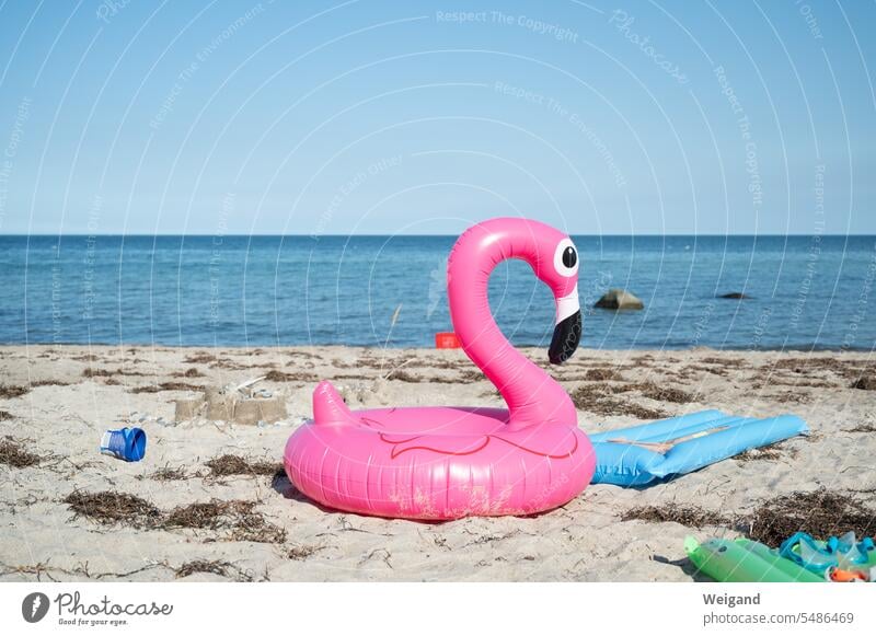 Aufblasbarer Flamingo am Strand Sommer Aufblastier verrückt pink Nordsee Ostsee kitschig