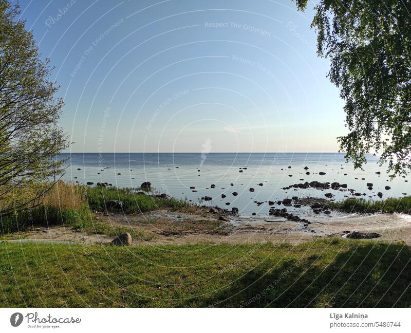 Ostsee Hintergrund, ruhiges blaues Meer mit blauem Himmel und Baum MEER Wasser winken Wellengang Strand Wasseroberfläche Meerwasser Sommer Lettland Sommerurlaub