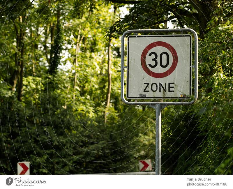 Zone 30 Geschwindigkeitsbegrenzung, Schild im Grünen 30er Zone Verkehrsschild Verkehrszeichen Sicherheit Lärmschutz Schilder & Markierungen Straßenverkehr