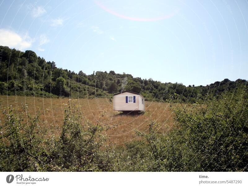 abgefahren | Tinyhouse in Hanglage tiny house Wiese Gefälle wohnen Bauwerk Architektur Waldrand Himmel Horizont Busch zuhause skurril