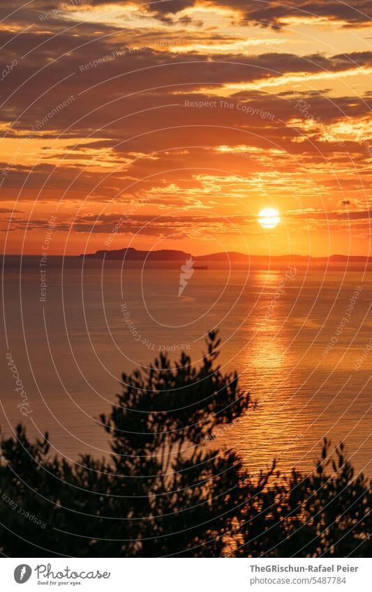 Sonnenuntergang mit Insel im Hintergrund und Baum im Vordergrund Amalfiküste Italien Küste Sommer Landschaft Natur Tourismus Ferien & Urlaub & Reisen küsten