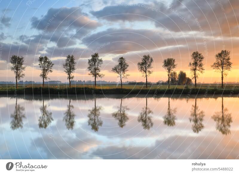 Baumreihe spiegelt sich bei Sonnenaufgang im Fluss Reihe See Wasser Kanal Oberfläche Symmetrie reflektieren Reflexion & Spiegelung Himmel Cloud Wolkenlandschaft