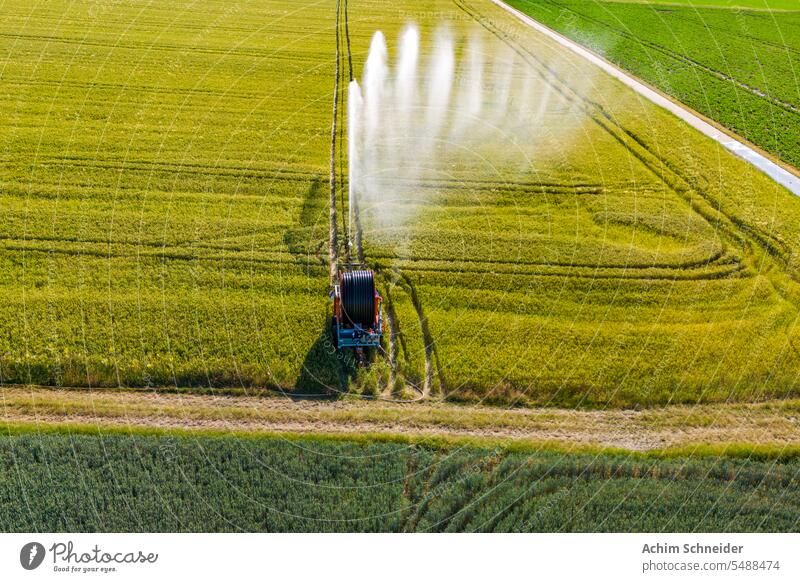 Luftaufnahme der Bewässerung mit zerstäubtem Wasserstrahl Feld Korn Wind Schlag erwärmen Deutschland Sprinkleranlage Berieselung Berieselungsanlage