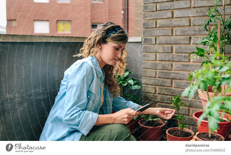 Frau schaut auf ein elektronisches Tablet, während sie die Pflanzen ihres städtischen Gartens auf der Terrasse kontrolliert urban Dachterrasse Gartenarbeit