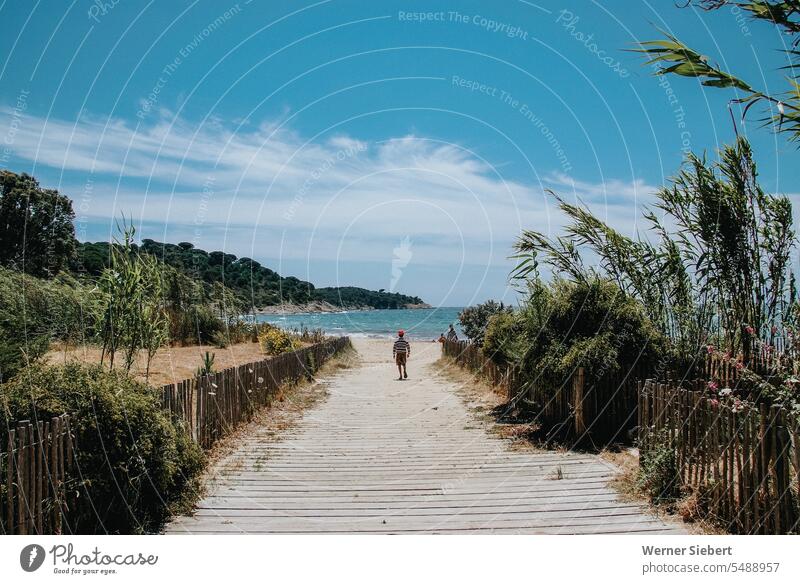 Weg zum Strand am Mittelmeer Meeresufer Küste Südfrankreich Ferien & Urlaub & Reisen Frankreich Außenaufnahme Sommer Sonnenlicht mediterran Sand Schild Wind
