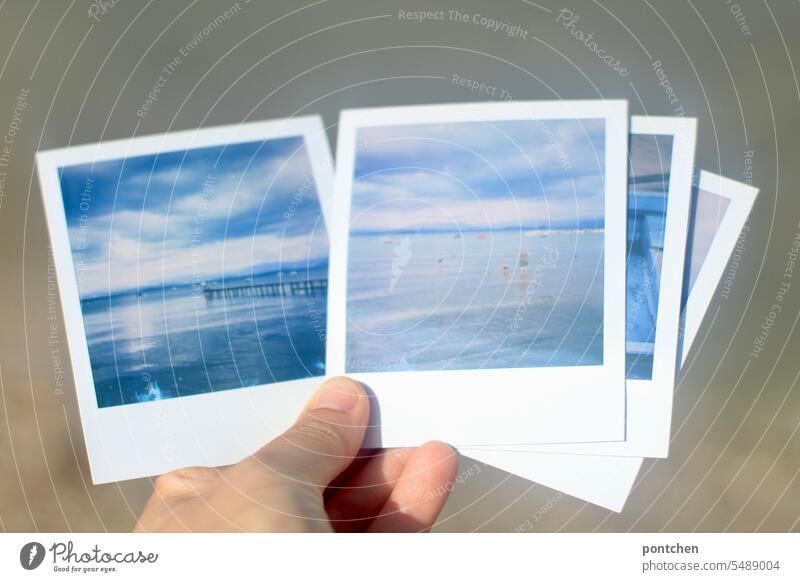 eine hand hält vier polaroidfotos vor hellem hintergrund. wasser, gardasee blau zeigen halten sofortbildfoto fotoserie steg italien reise reisefotografie