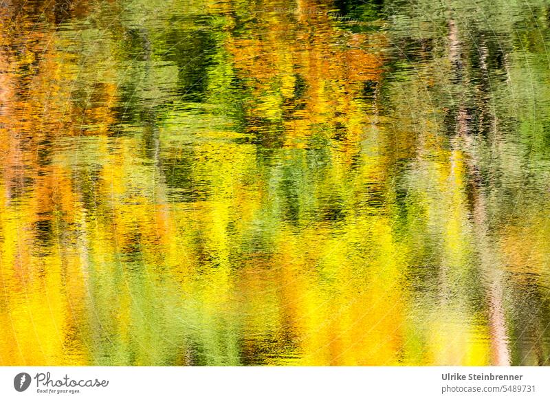 Herbstfarben als Spiegelung im See Herbstlaub Wasser herbstlich Herbstfärbung Herbststimmung Jahreszeiten Laubwerk Büsche Bärensee Sonnenlicht