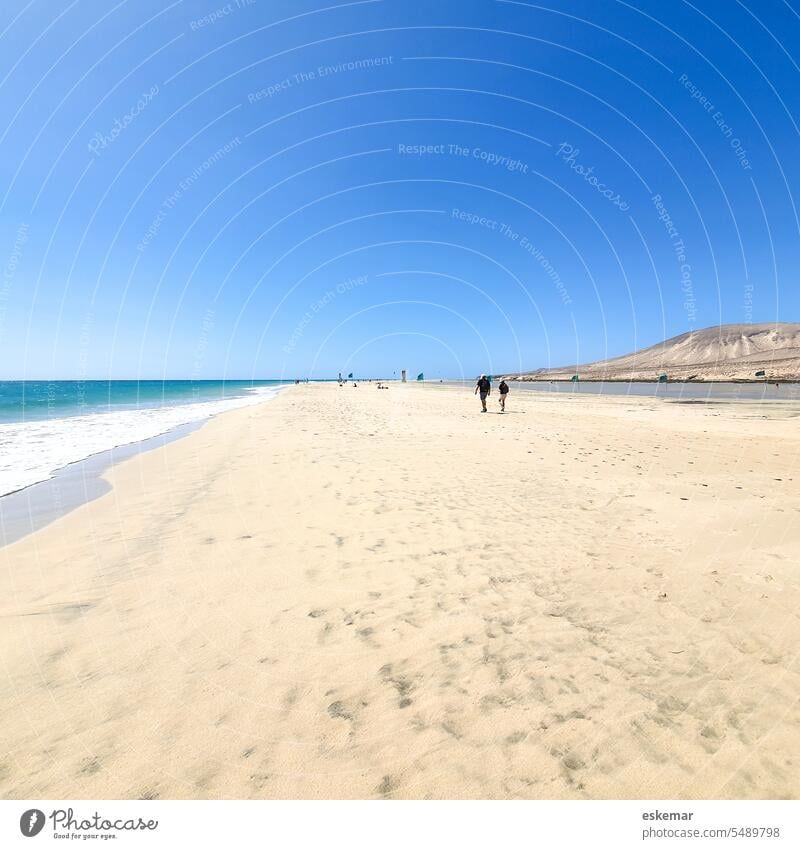Playa de Sotavento, Fuerteventura Strand Sandstrand traumhaft weit Weite Risco del Paso Barca Playa Barca Kanaren Kanarische Inseln weitläufig Menschen klein