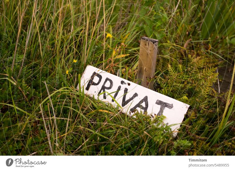 Privater Nichtzugang zum Fjord Schild privat Privatweg Schilder & Markierungen Hinweisschild Schriftzeichen Menschenleer Pfosten zugewachsen Gräser Farne
