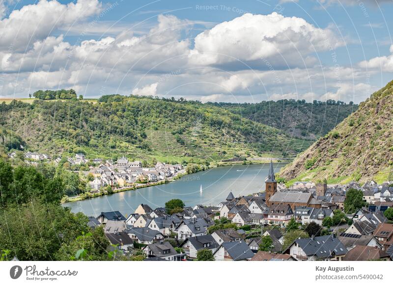 Alken an der Mosel Außenaufnahme Mosel (Weinbaugebiet) Idylle Natur Rheinland-Pfalz Ausflug Moseltal Ferien & Urlaub & Reisen Landschaft Weinberg