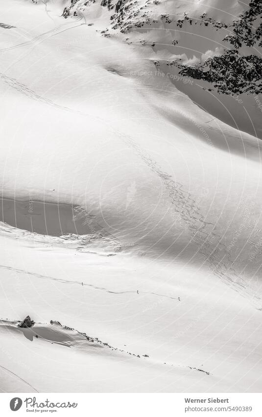Drei Skifahrer auf Morteratsch-Gletscher Eis Schnee Natur Berge u. Gebirge Schweiz Engadin Alpen Winter Skifahren Skitour Urlaub Klimawandel Menschenleer