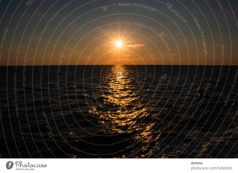 goldene Wellen Abend Meer Sonnenuntergang Wasser Abendlicht Urelemente maritim Himmel glänzend schön Kontrast ruhig Unendlichkeit Fernweh ästhetisch
