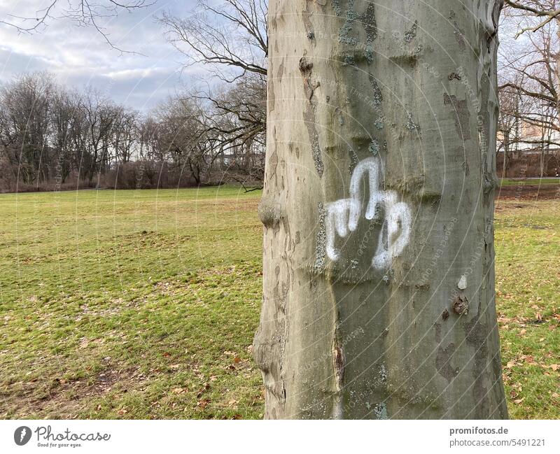 Die Natur spricht zu uns. Baumbotschaft. Stinkefinger an einem Baum. Foto: Alexander Hauk Botschaft Nachricht Beleidigung Außenaufnahme Querformat grün frühling