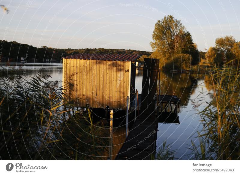 Anglerhütte am Étang du Welschhof in der Abendsonne Steg fischen Fischerhütte sehen Schilf Gras Gräser Wasser am Wasser badesee Schatten abends Frankreich
