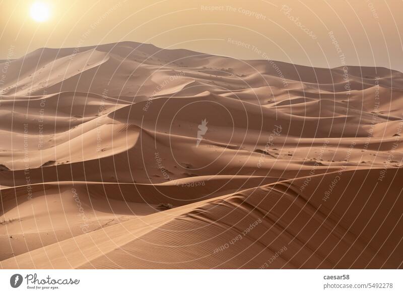 Malerische Dünen in der Wüste Erg Chebbi, einem Teil der afrikanischen Sahara wüst Sonnenuntergang trocknen Symbol Natur Landschaft Afrika Marokko