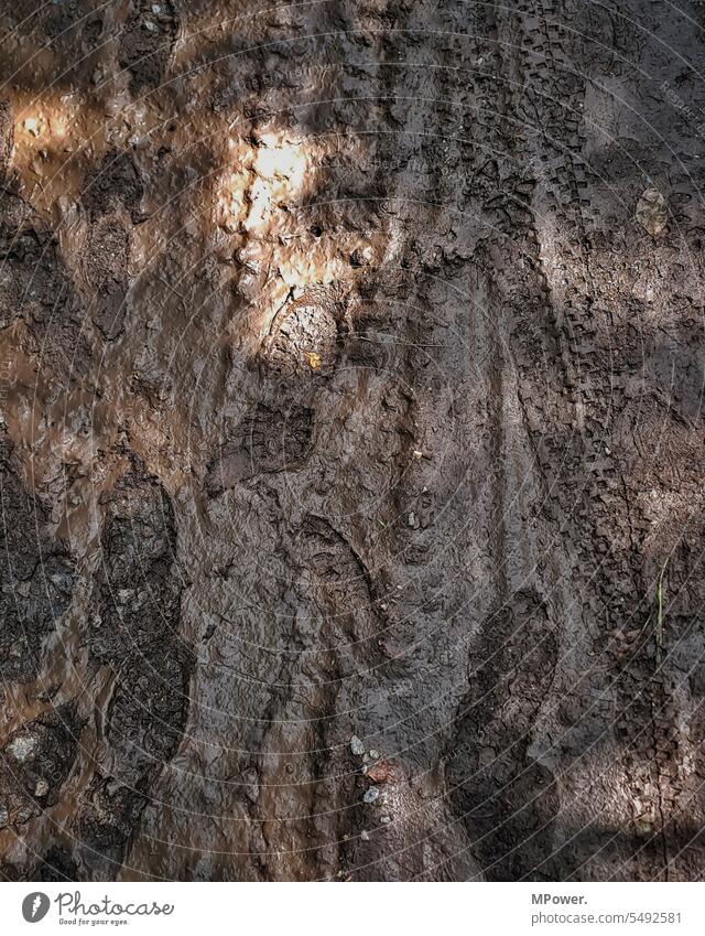 Fußabdruck im Matsch fußabruck laufen Spuren matschig dreckig Wege & Pfade Wald Umwelt Menschenleer wandern Fußweg Natur Einsamkeit Spaziergang Licht Tag