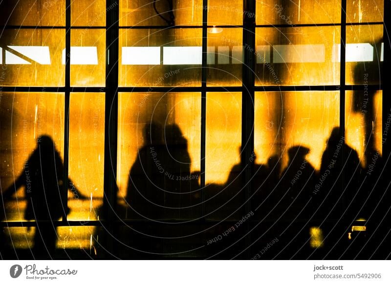 warten im Bahnhof in der Abendsonne Glasfassade Alexanderplatz Silhouette Gegenlicht Abendlicht Wärme Schatten Sonnenlicht Mensch Halle Sprossen Sprossenfenster