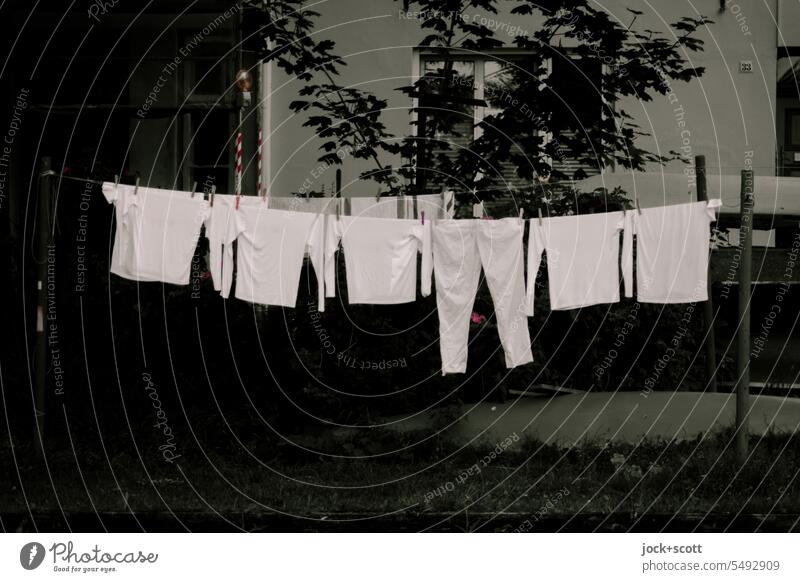 frische strahlend weiße Wäsche Waschtag Wäsche waschen Wäscheleine hängen Haushaltsführung Sauberkeit Bekleidung trocknen Alltagsfotografie Sommer Reinlichkeit