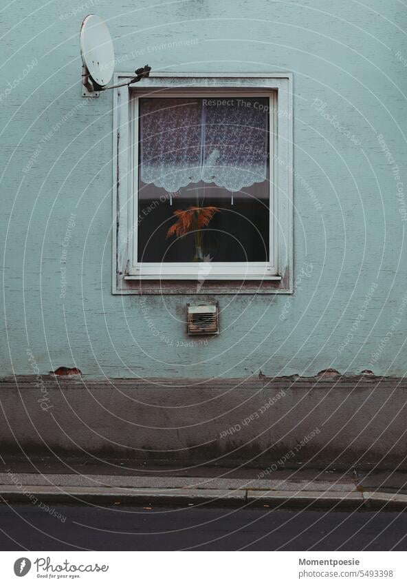 Fenster alt wohnen Wohnung Wohnungssuche wohnungsbau altbau türkis blau hellblau fensterdekoration vorhang armut fassade kaputt risse satelittenschüssel antenne