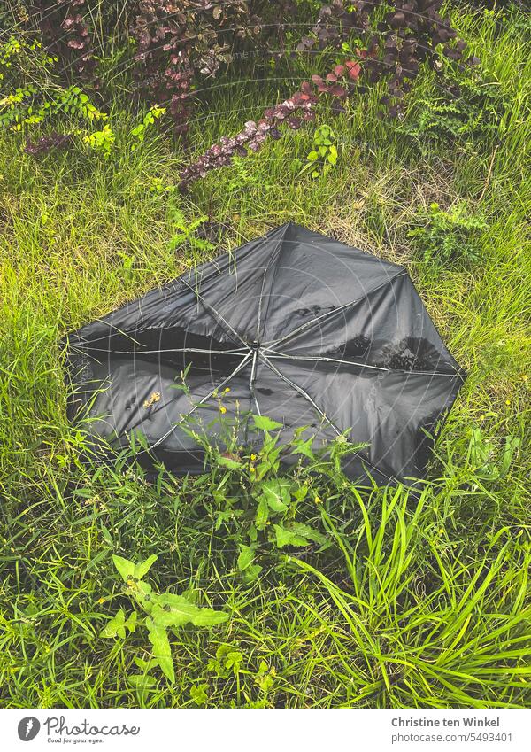 weg damit | aber doch nicht so ... Regenschirm kaputter Regenschirm Müll Grünstreifen Böschung schwarz Abfall weggeworfen wegwerfen entsorgt Umweltverschmutzung