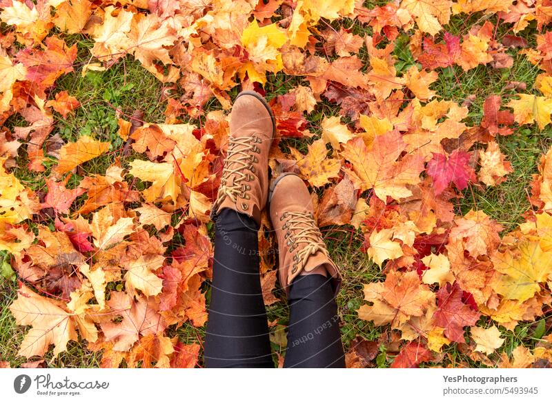 Frauenstiefel umgeben von Herbstlaub, Ansicht von oben im Freien allein schön Schönheit Stiefel hell lässig Nahaufnahme Farbe farbenfroh genießen fallen
