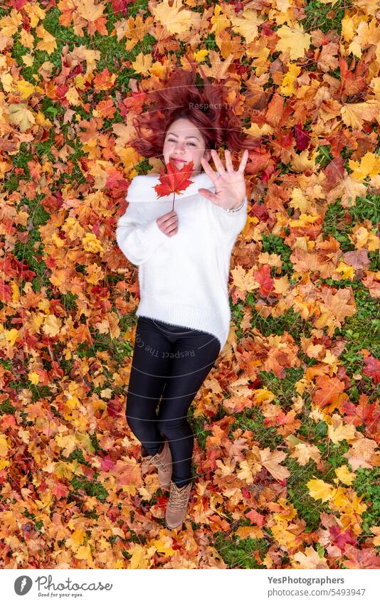 Frau auf dem mit Herbstlaub bedeckten Boden liegend, Draufsicht im Freien oben allein schön Schönheit hell lässig Farbe farbenfroh genießen fallen Laubwerk