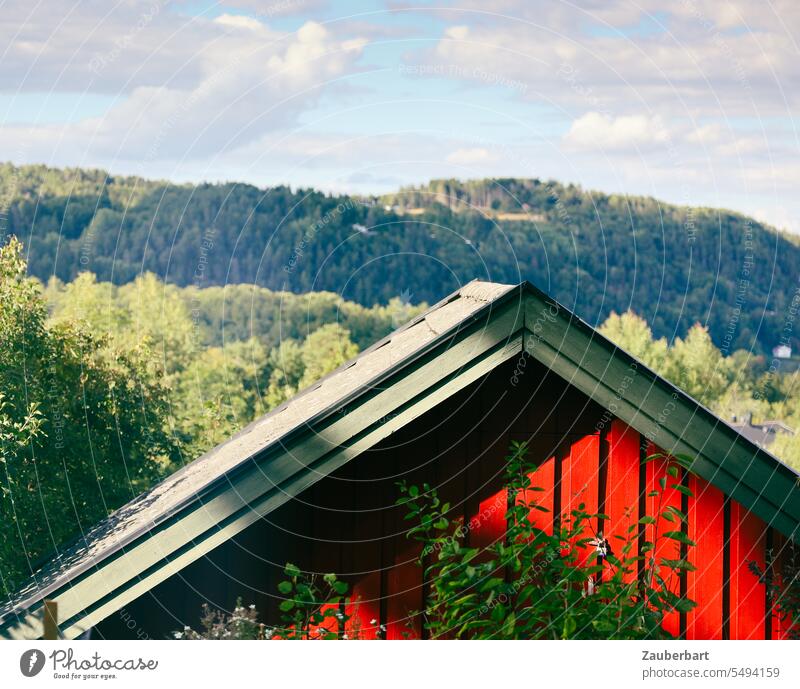 Giebel eines roten Holzhauses vor Naturkulisse in Norwegen Haus Skandinavien Schweden grün Wald Kontrast Hütte Ferienhaus Idylle Landschaft dreieck