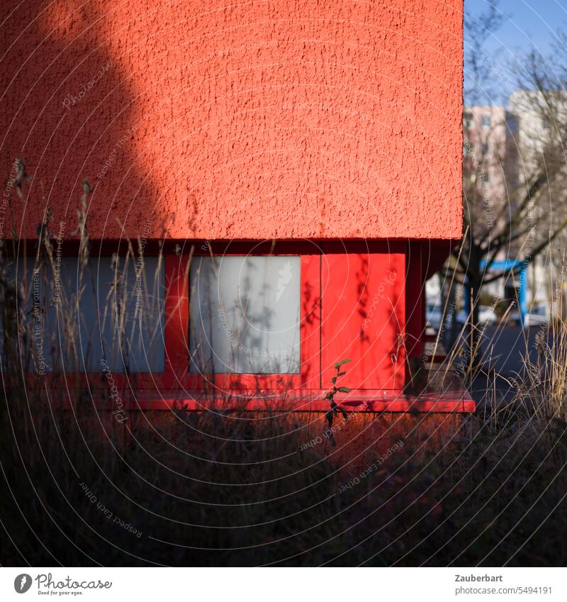 Rote Fassade, strukturierter Beton, davor Pflanzen rot bunt Architektur modern urban Stadt städtisch Gebäude Großstadt Struktur Design abstrakt Gegensatz Natur