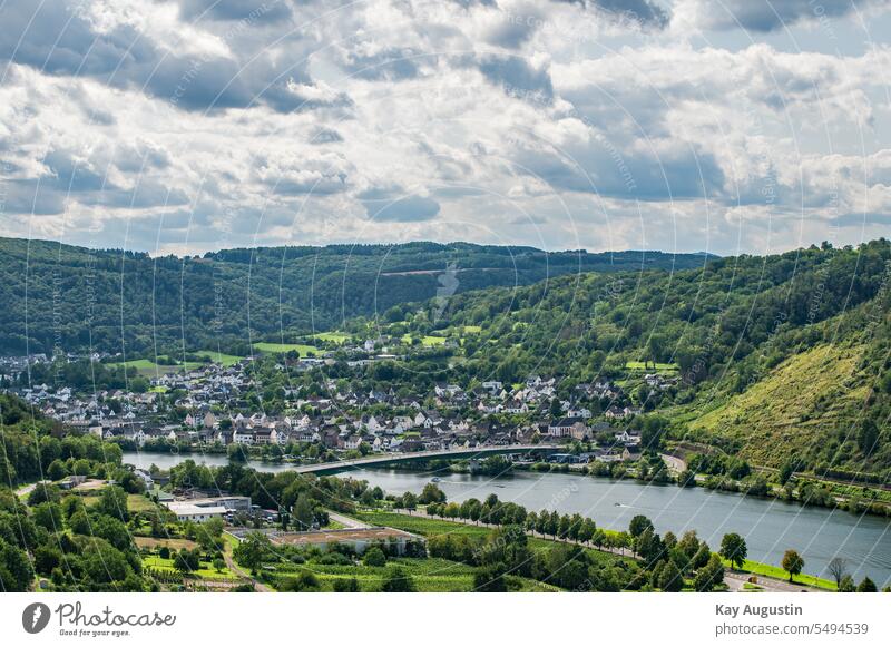 Moselbrücke bei Löf und Alken Weitblick Natur Tal Weite Außenaufnahme Fluss Rheinland-Pfalz Weinberg Moseltal Mosel (Weinbaugebiet) Ausflug