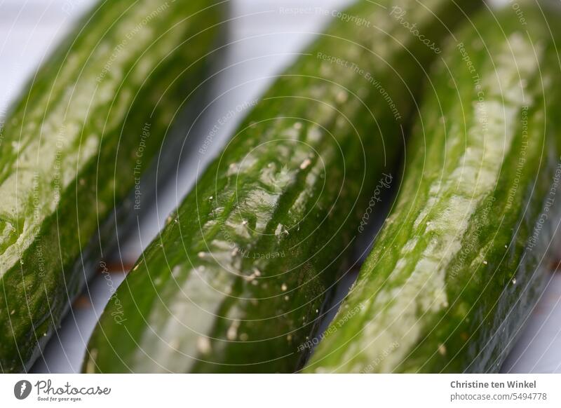 Leckere Salatgurken aus dem Hochbeet Schlangengurken Gurken Gesunde Ernährung Vegetarische Ernährung Foodfotografie Vegane Ernährung Gemüse Bio vitaminreich