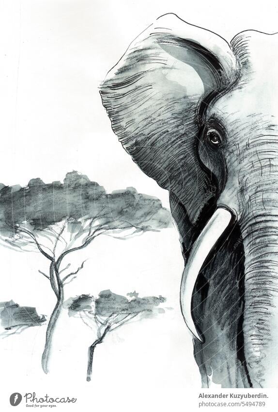 Elefant in der Savanne. Tusche und Aquarell Skizze Afrika Afrikanisch Tier Kunst Hintergrund groß schwarz Design Zeichnung Mode Grafik u. Illustration Elfenbein