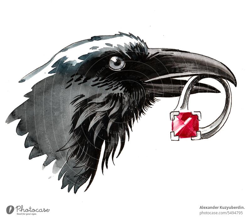 Aquarellskizze eines Raben, der einen Rubinring hält Tier Kunst Vogel schwarz Krähe Grafik u. Illustration Kostbarkeit Ring gestohlen Dieb Wasserfarbe