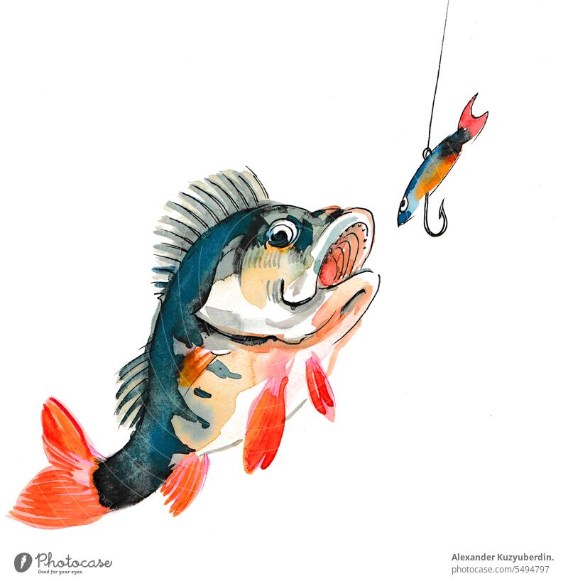 Fisch und Köder fangen Flosse Fischen Hobby Haken Grafik u. Illustration vereinzelt See Natur Fluss Stab Sport Wasser Tierwelt